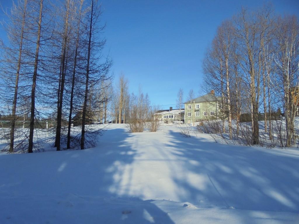 Jaerjagarden Guesthouse Storsele Buitenkant foto